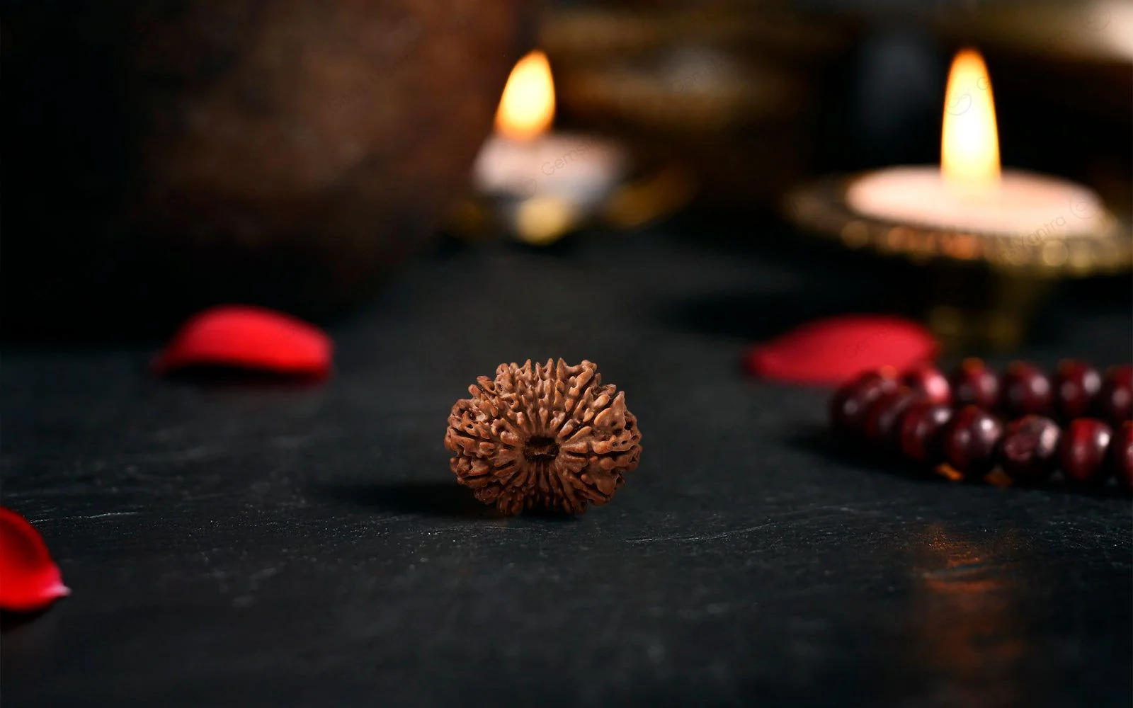 Natural 14 Mukhi Rudraksha (Nepali) - Image 3