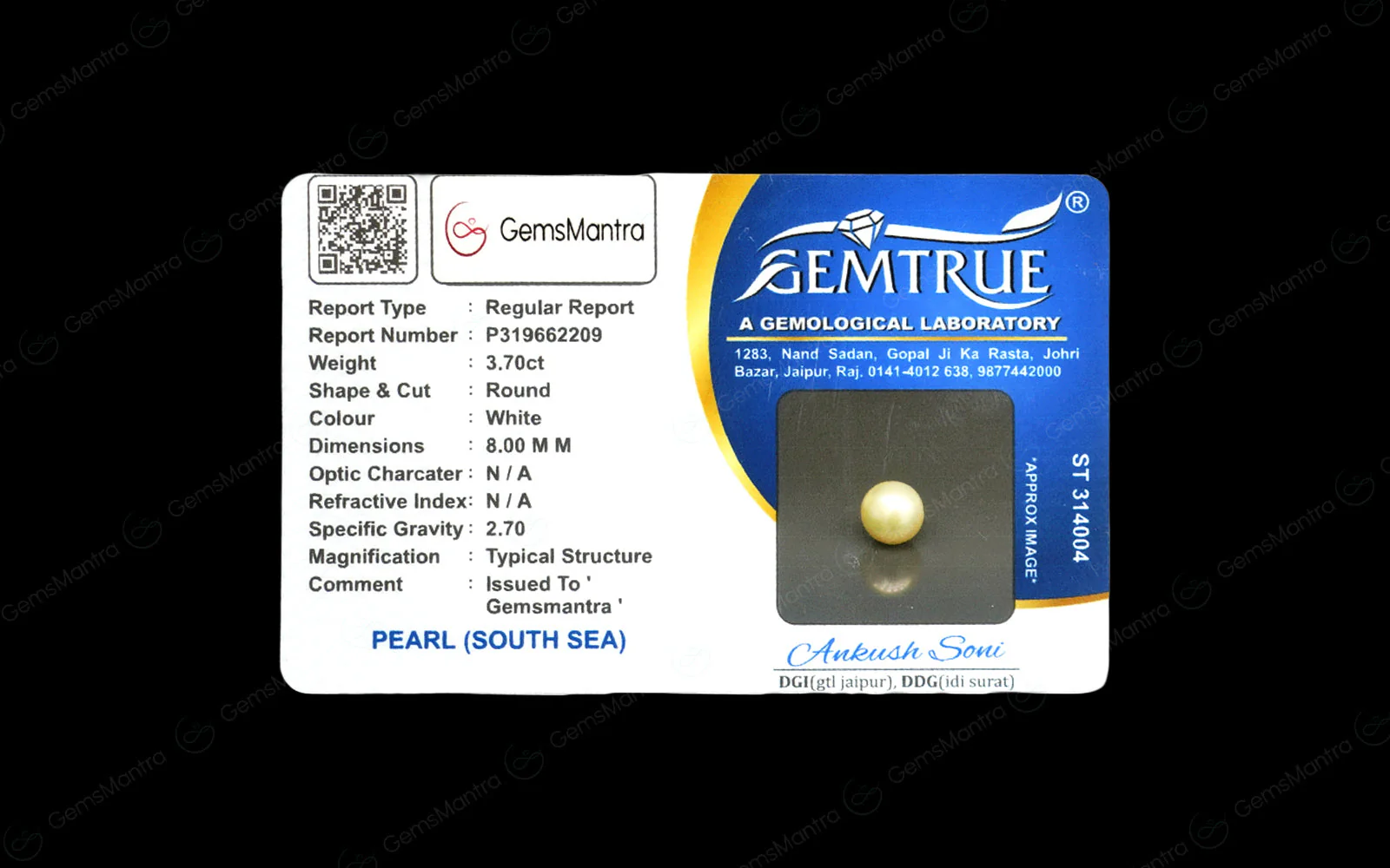 South Sea Pearl - 3.7 Carats - Image 4